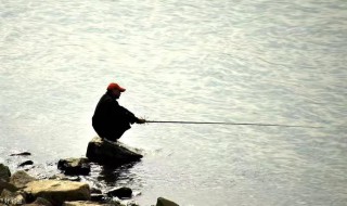 春季寒潮可以钓鱼吗（冬季寒潮来临前好钓鱼吗?）