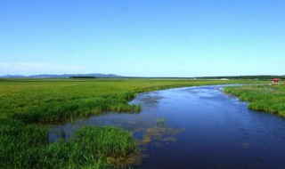湿地被称为什么 湿地被称为什么?