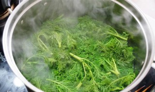 黄蒿水擦脸一天擦几次（黄蒿水擦脸一天擦几次最好）