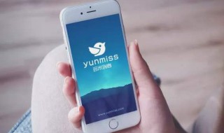 已禁止微信使用移动网络在哪里打开（微信被禁止网络,在哪里开启）