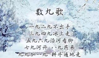 九九歌的第一句是什么季节? 九九歌指的是什么时候