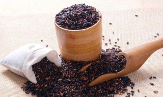 黑糯茶什么时候喝最好 黑糯米茶什么时候喝最好