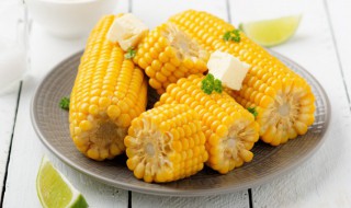 番茄玉米排骨汤的做法 番茄玉米排骨汤怎么做好吃