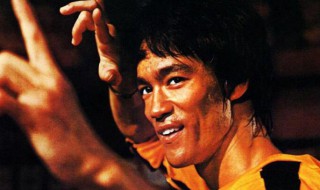 李小龙生平简介 李小龙生平简介与其影响力