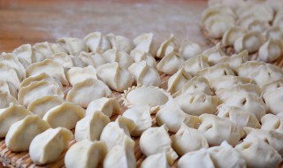 白菜猪肉馅饺子 白菜猪肉馅饺子发苦怎么回事