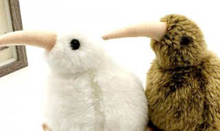 毛绒玩具老掉毛是质量问题吗 毛绒玩具掉毛正常吗