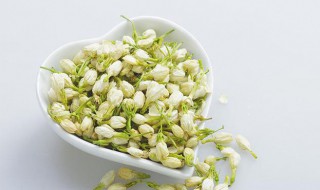 茉莉花茶和什么一起泡好 茉莉花茶和什么一起泡好喝一点