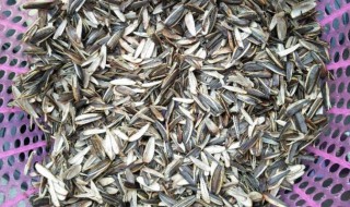 瓜子壳能混合土栽花吗 瓜子壳能混合土栽花吗视频