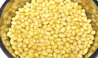 打豆浆豆子泡好还是不泡好（打豆浆放什么最营养好喝）