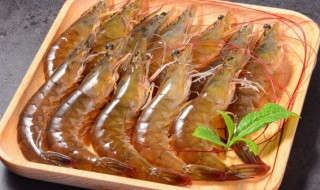 大虾海木耳炖冬瓜的做法（大虾海木耳炖冬瓜的做法窍门）