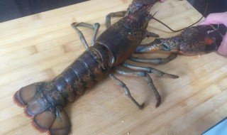 如何做大龙虾好吃又简单的做法（如何做大龙虾好吃又简单的做法大全）