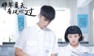 那年夏天有风吹过的演员 那年夏天有风吹过的演员表