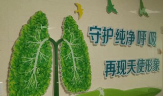 世界无烟日的由来（世界无烟日的由来50字）