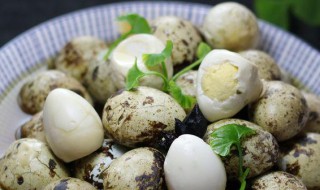 清卤鹌鹑蛋的做法（卤鹌鹑蛋的做法 最正宗的做法）