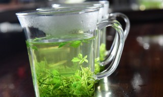 绞股蓝和什么一起泡好（绞股蓝和什么一起泡水）