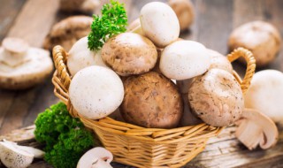 茄汁蘑菇的做法 茄汁蘑菇的做法视频