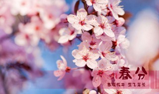 春分的由来(春分的来历和风俗)