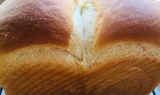 生吐司的做法(椰蓉吐司面包的做法)