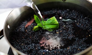 黑米小布里的做法（小黑米的做法大全）