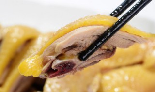 怎样炖鸡好吃简单做法（怎样炖鸡好吃简单做法窍门）