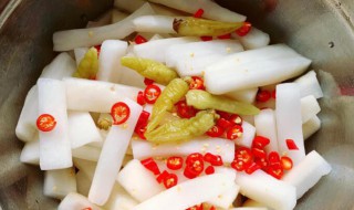 酸辣萝卜怎么做（酸辣萝卜条的腌制方法）