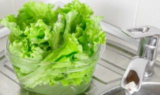 餐馆的炝生菜怎么做的 餐馆的炝生菜怎么做的视频