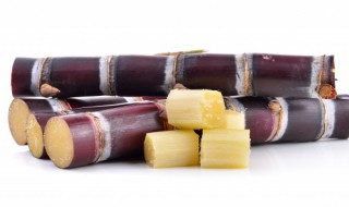 怎么样挑选甘蔗（怎么样挑选甘蔗糖）