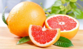 葡萄柚怎么挑选（柚子怎么挑选）