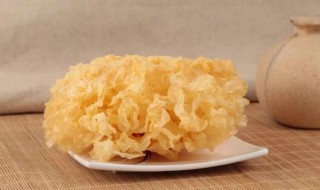 银耳怎么挑选好坏（银耳怎么挑选好坏视频）