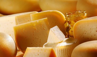 怎么挑选奶酪(怎么挑选奶酪条)