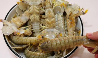 皮皮虾怎么挑选母的（皮虾怎么分辨公母）