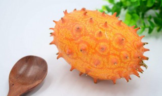 火参果怎么挑选（火参果怎么样）