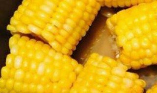 奶油粟米棒做法窍门（奶油粟米棒做法窍门视频）