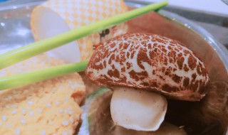 甜蘑菇怎么做 甜蘑菇怎么做汤