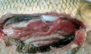 草鱼肝脏怎么做 草鱼肝脏怎么做最好吃