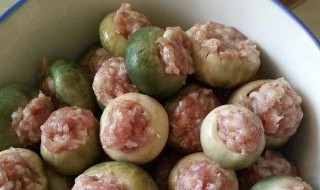 青头菌蒸肉做法窍门 青头菌蒸肉做法窍门图片