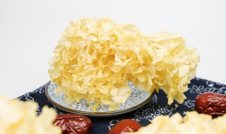 怎么样挑选银耳（怎么样挑选银耳好坏）