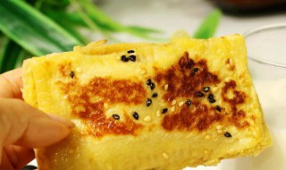 芝士可以用来做什么（芝士是什么）