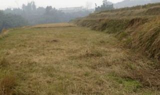 农村荒地除草方法 农村荒地除草方法图片