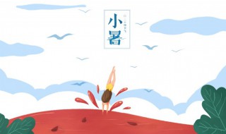 小暑适合吃什么肉（小暑吃什么肉好）