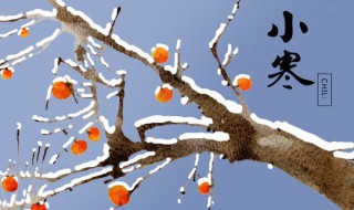 小寒后吃什么食物 小寒后吃什么食物最好