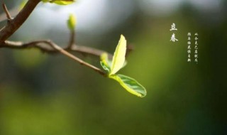 2021年立春躲春是什么意思 2021年立春哪个属相躲春