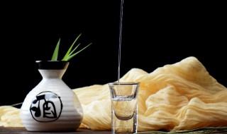 喝完酒嘴臭吃什么(喝完酒嘴臭吃什么药)