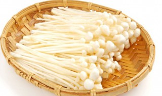 金针菇的功效与作用及禁忌（金针菇的功效与作用禁忌症）