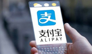怎么样查询社保交了没有（怎么样查询社保交了没有呢）