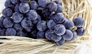 果酒的做法 果酒的制作方法 自酿