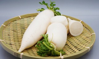 咬春吃什么蔬菜 咬春吃哪些蔬菜