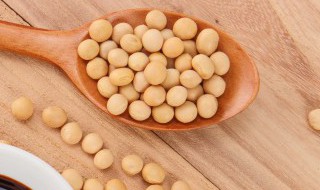 酥黄豆烧肉做法窍门（酥黄豆烧肉做法窍门视频）