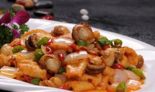 仙贝的做法 鲜贝的做法大全家常