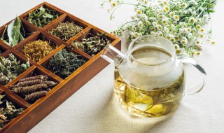 金银花茶的做法 金银花茶的做法图